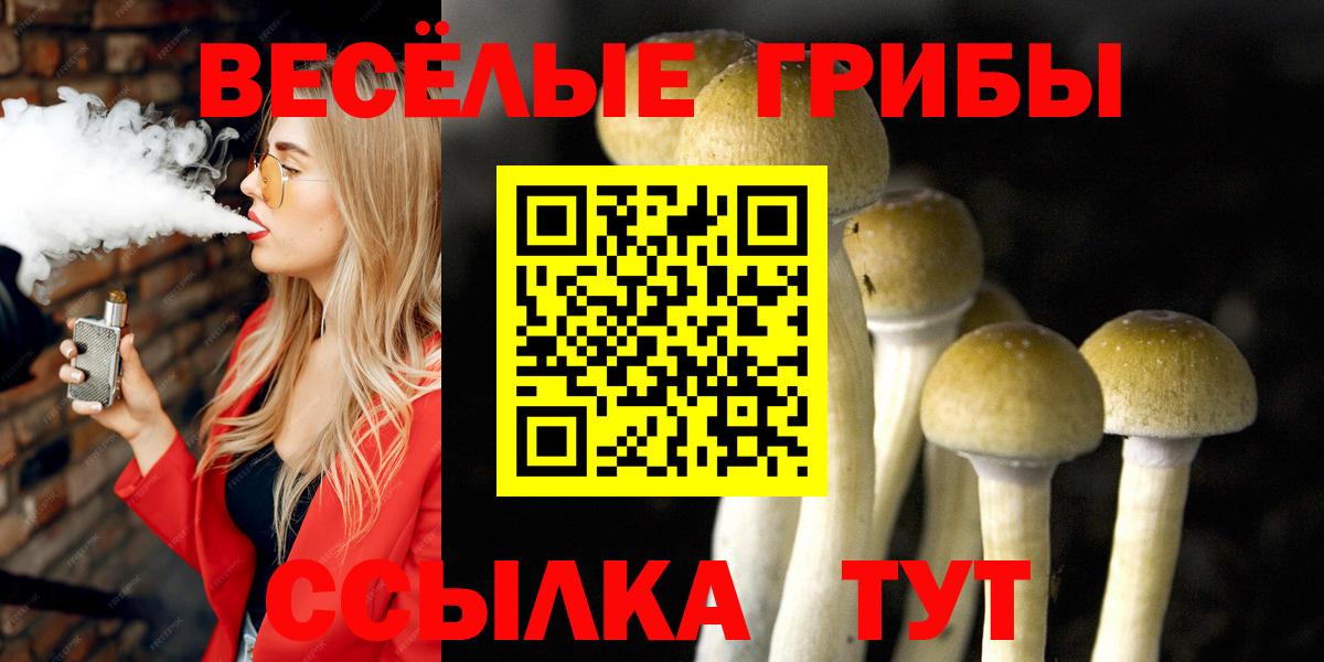 Псилоцибиновые грибы Cubensis Лабытнанги
